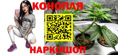 прущие грибы Новодвинск