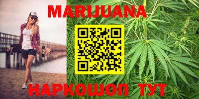 прущие грибы Новодвинск