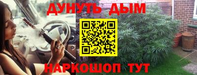скорость Новозыбков