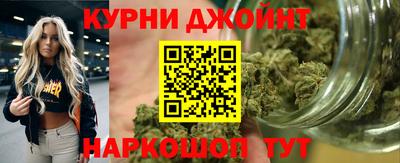 прущие грибы Новодвинск