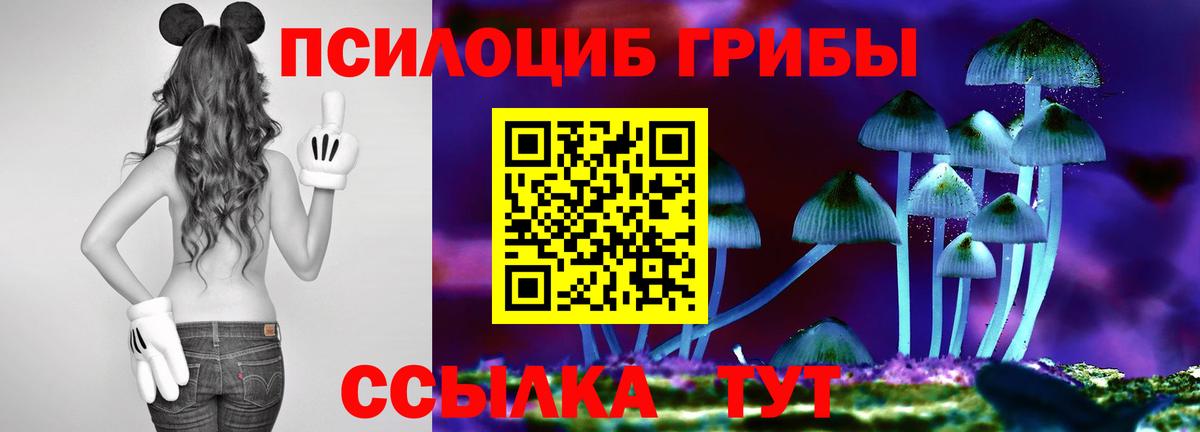 Псилоцибиновые грибы GOLDEN TEACHER Моршанск